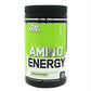 AMINO ENERGY 30 SERVS