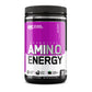 AMINO ENERGY 30 SERVS