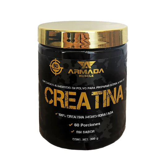 CREATINA ARMADA 300 G
